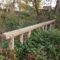 Vestiges du petit pont